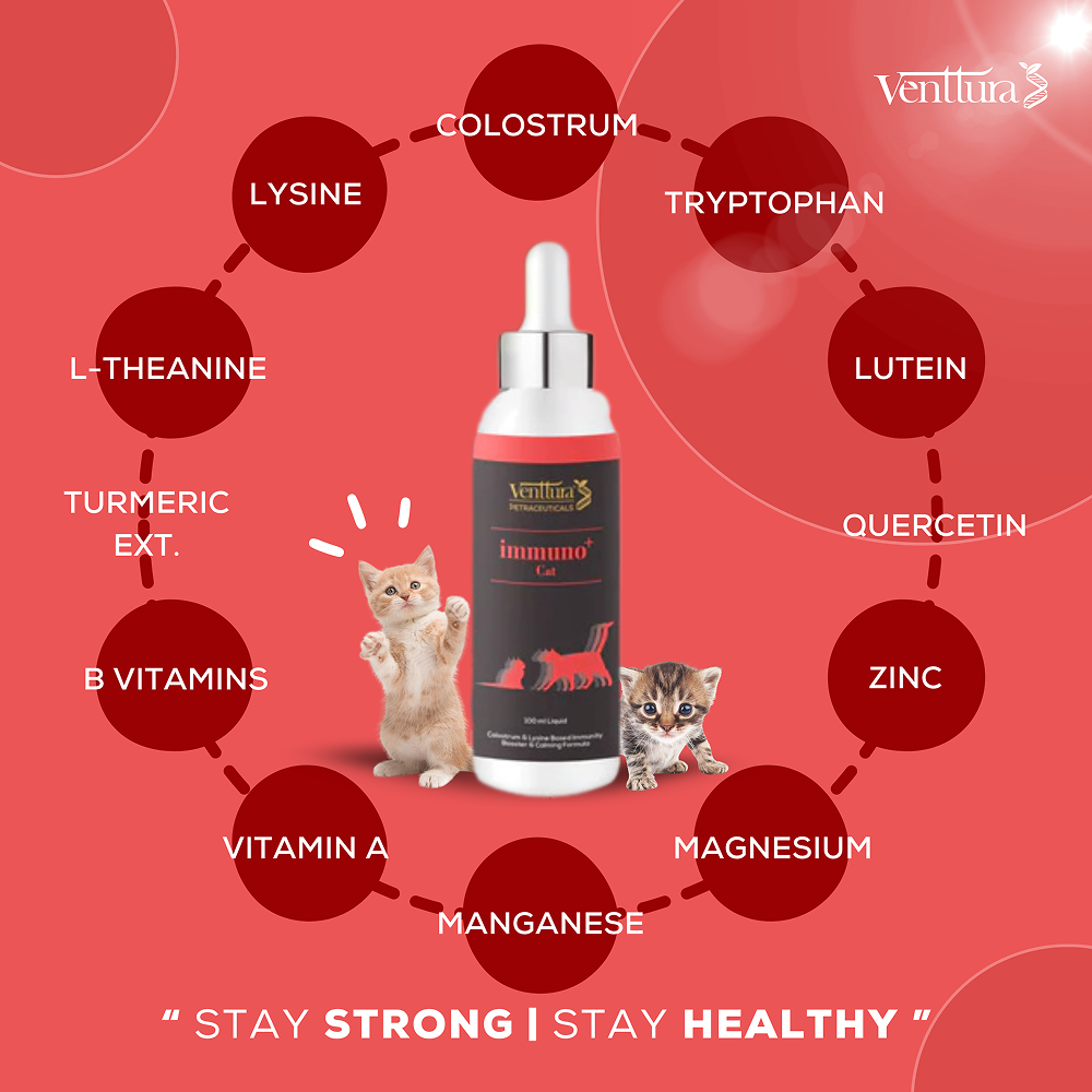 Venttura Immunity Booster & Calming Supplement for Cats Cats-Health & Wellness Venttura