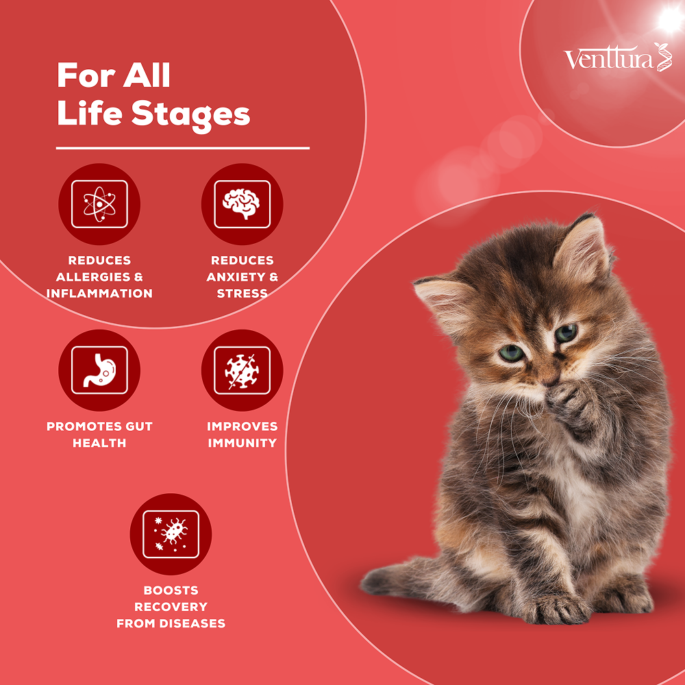 Venttura Immunity Booster & Calming Supplement for Cats Cats-Health & Wellness Venttura