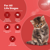 Venttura Immunity Booster & Calming Supplement for Cats Cats-Health & Wellness Venttura