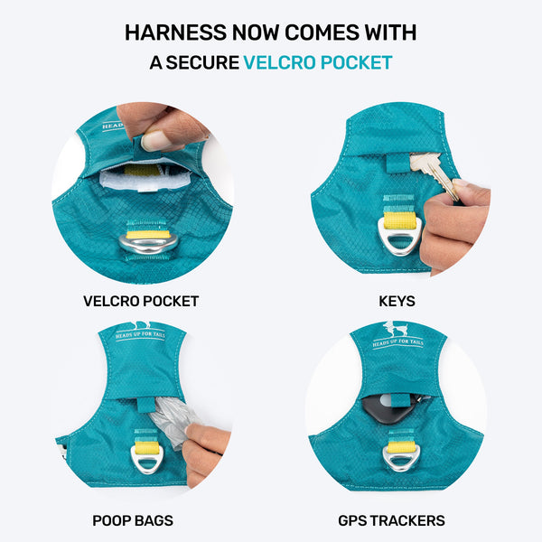 HUFT Walkmate Harness for Dogs (Teal Green)