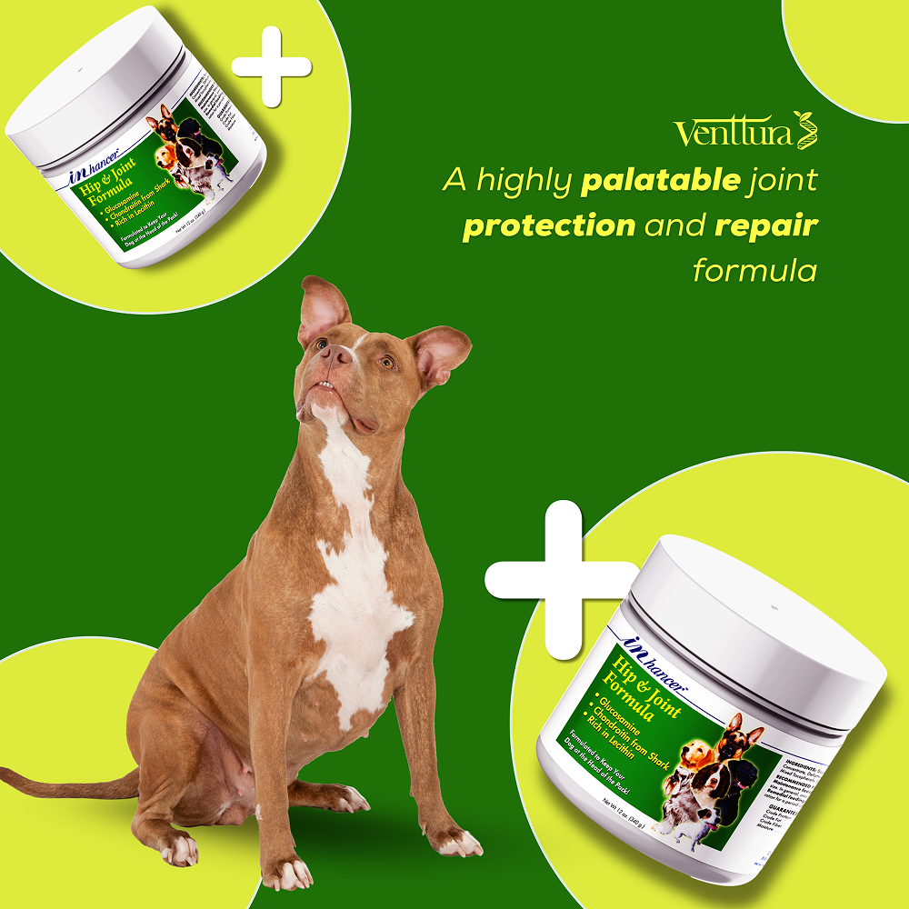 Venttura Inhancer Hip & Joint Soft Nuggets Supplements for Dogs Both-Health & Wellness Venttura