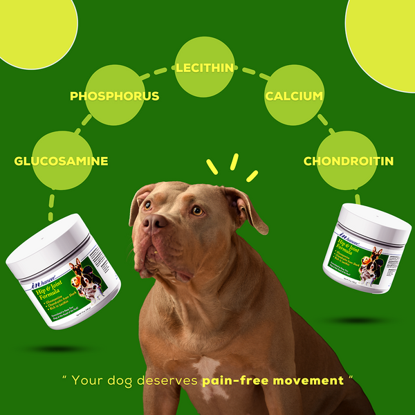 Venttura Inhancer Hip & Joint Soft Nuggets Supplements for Dogs