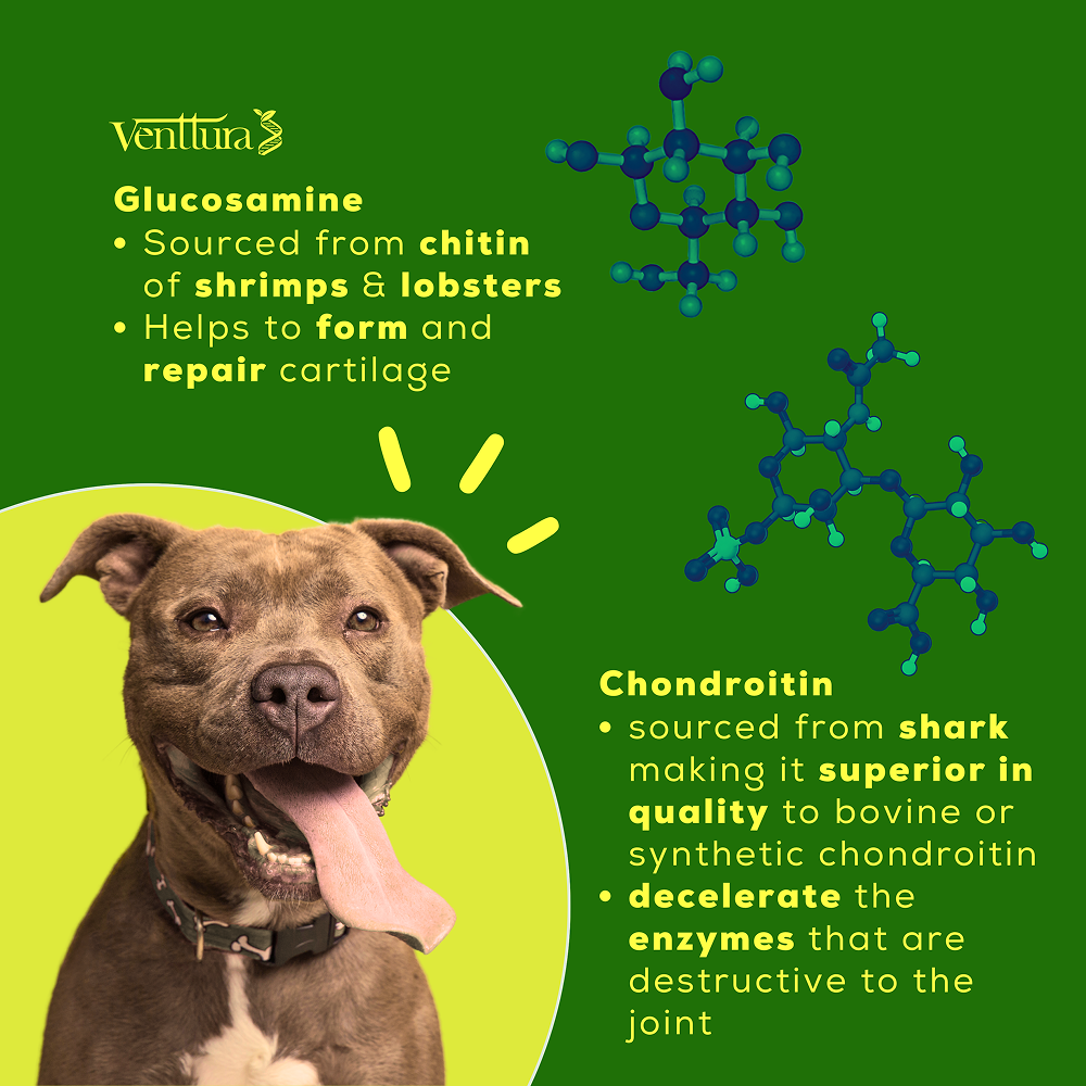 Venttura Inhancer Hip & Joint Soft Nuggets Supplements for Dogs Both-Health & Wellness Venttura