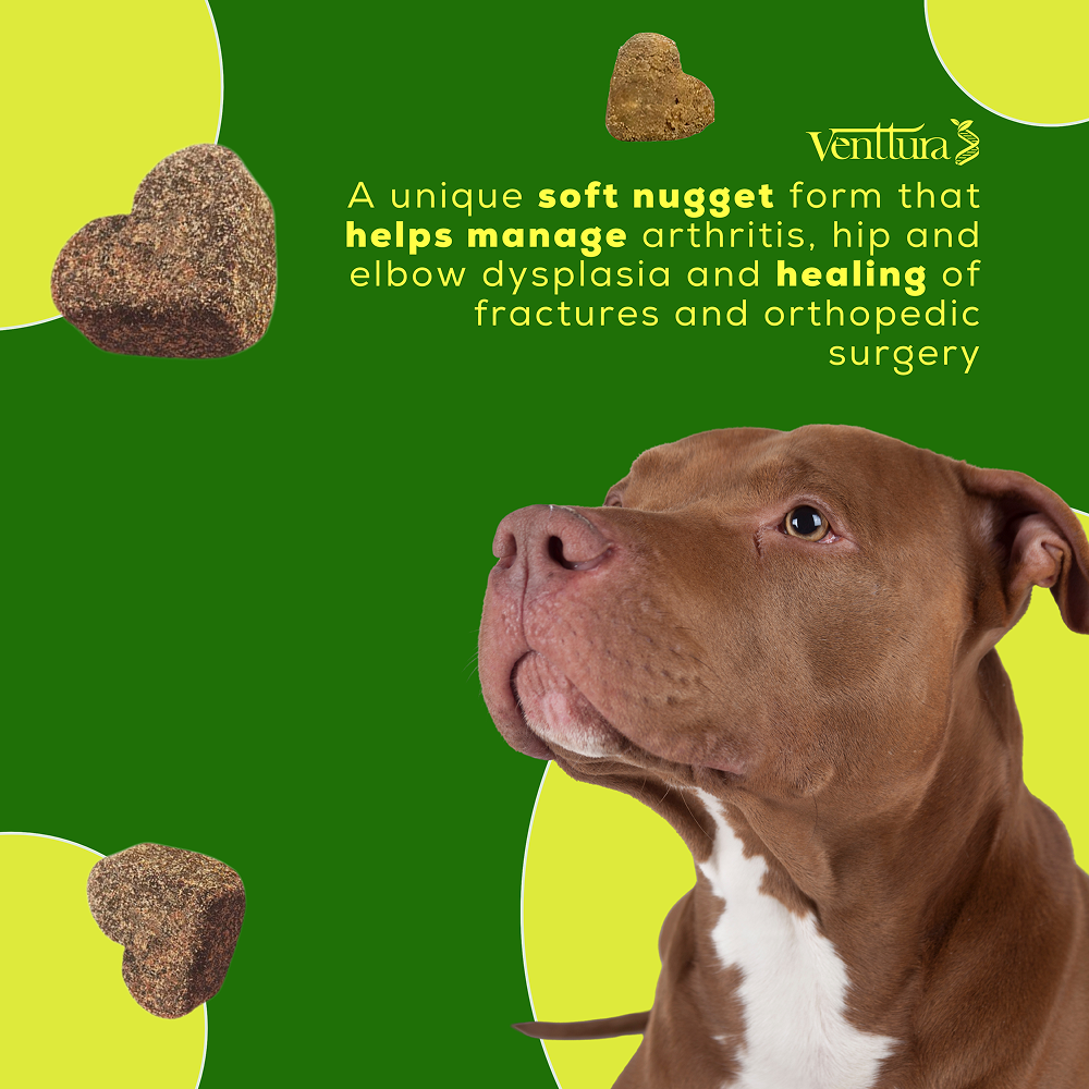 Venttura Inhancer Hip & Joint Soft Nuggets Supplements for Dogs Both-Health & Wellness Venttura
