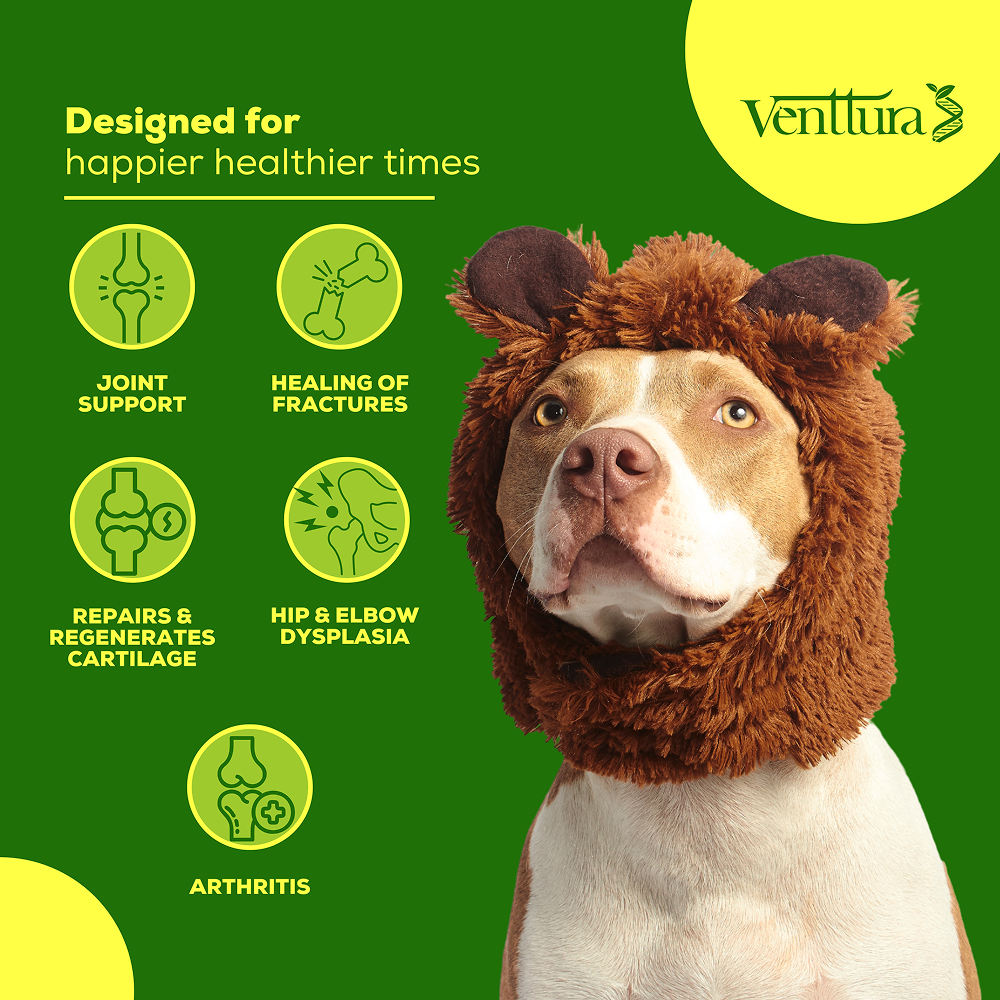 Venttura Inhancer Hip & Joint Soft Nuggets Supplements for Dogs Both-Health & Wellness Venttura