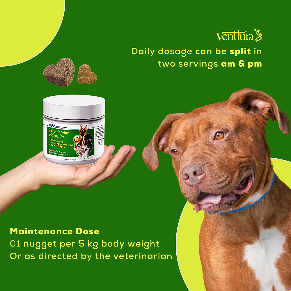 Venttura Inhancer Hip & Joint Soft Nuggets Supplements for Dogs Both-Health & Wellness Venttura