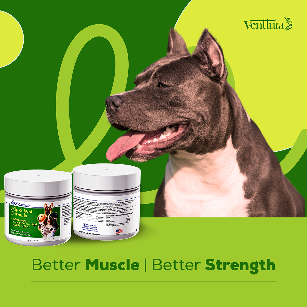Venttura Inhancer Hip & Joint Soft Nuggets Supplements for Dogs Both-Health & Wellness Venttura