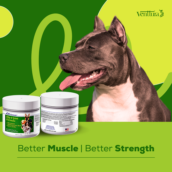 Venttura Inhancer Hip & Joint Soft Nuggets Supplements for Dogs