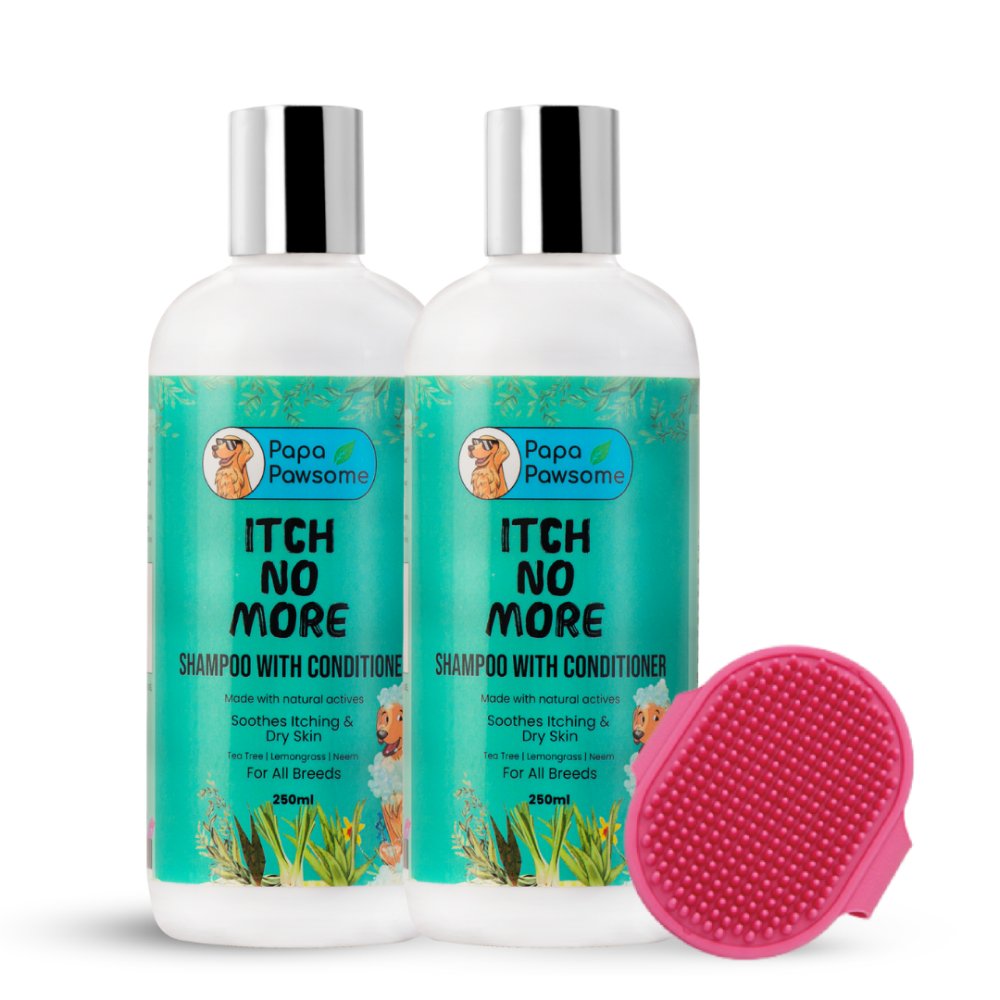 Papa Pawsome Itch No More Shampoo with Conditioner and Palm Brush for Dogs