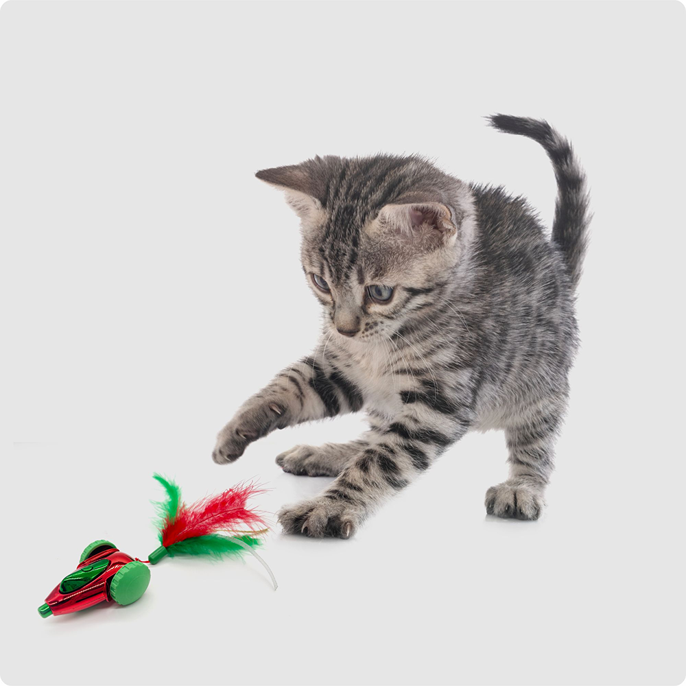 Barkbutler x Fofos Holiday Interactive Car Toy for Cats (Red) Cats-Toys Barkbutler