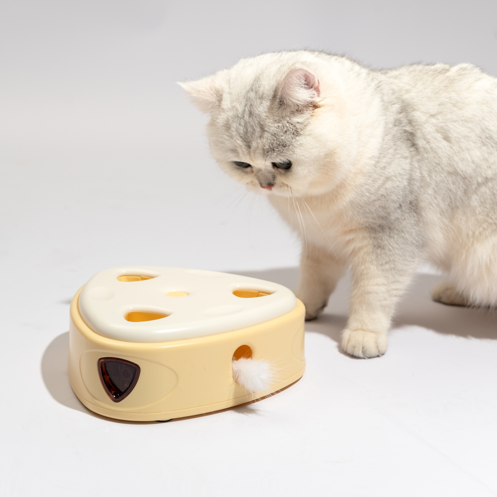 Barkbutler x Fofos Cheese Box Interactive Toy for Cats Cats-Toys Barkbutler