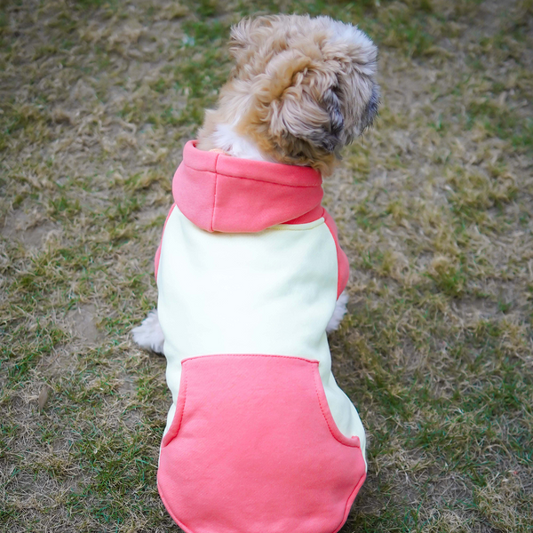 Pets Way Icy Peak Winter Sweatshirt for Dogs (Pink)