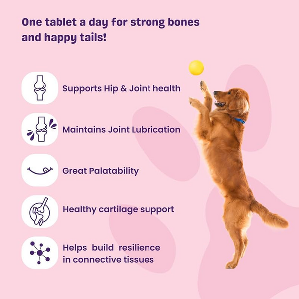 Unleash Wellness Jounce Hip and Joint Support Chews for Dogs and Cats