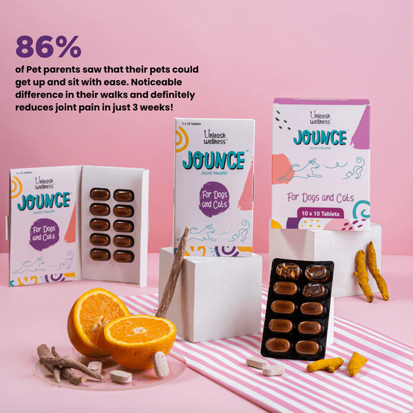 Unleash Wellness Jounce Hip and Joint Support Chews for Dogs and Cats