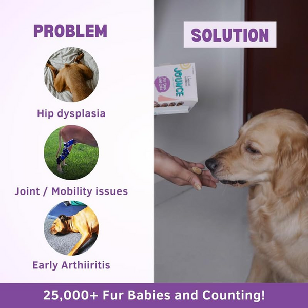 Unleash Wellness Jounce Hip and Joint Support Chews for Dogs and Cats