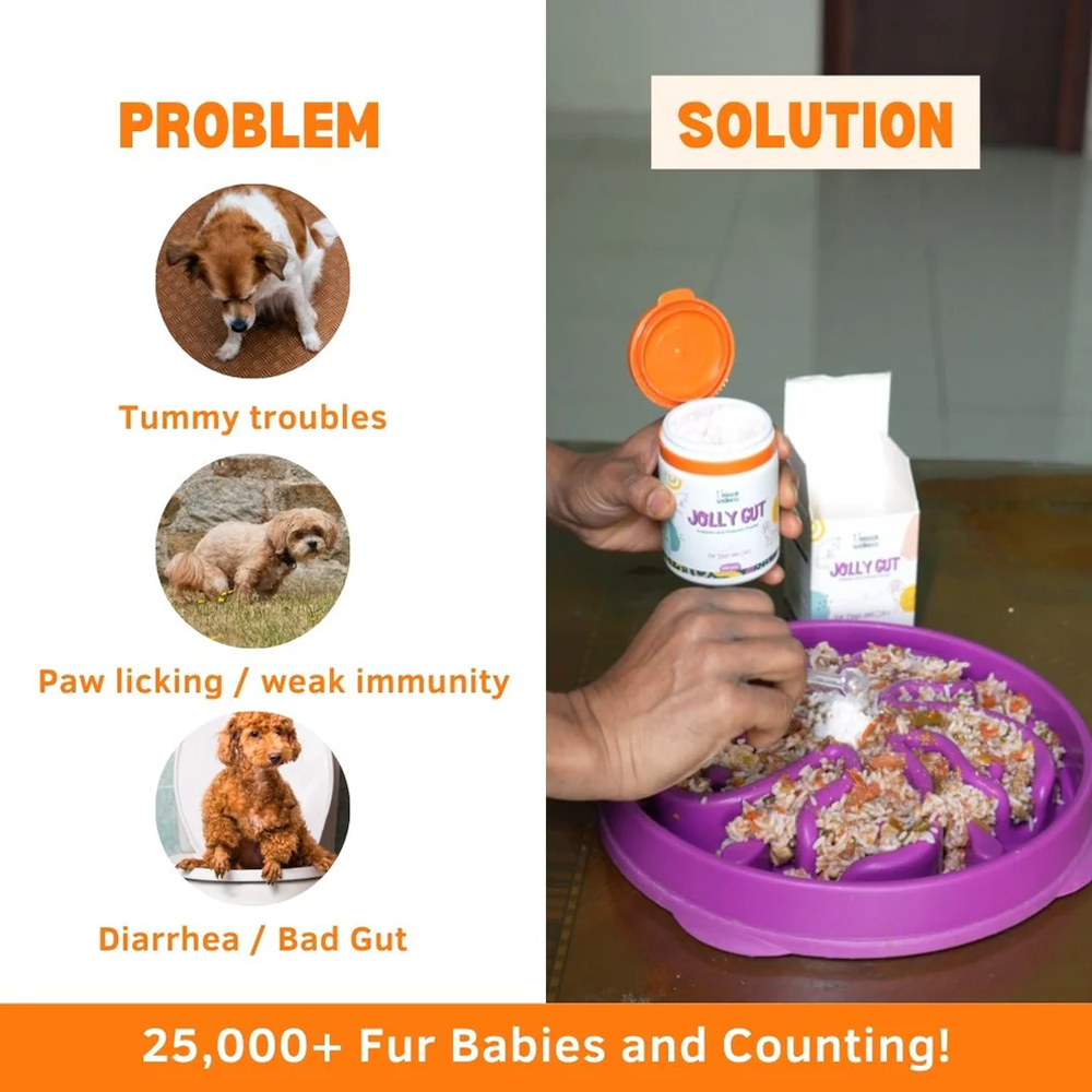 Unleash Wellness Jolly Gut Pre and Pro Biotic Supplement for Dogs and Cats Both-Health & Wellness Unleash Wellness Dropship
