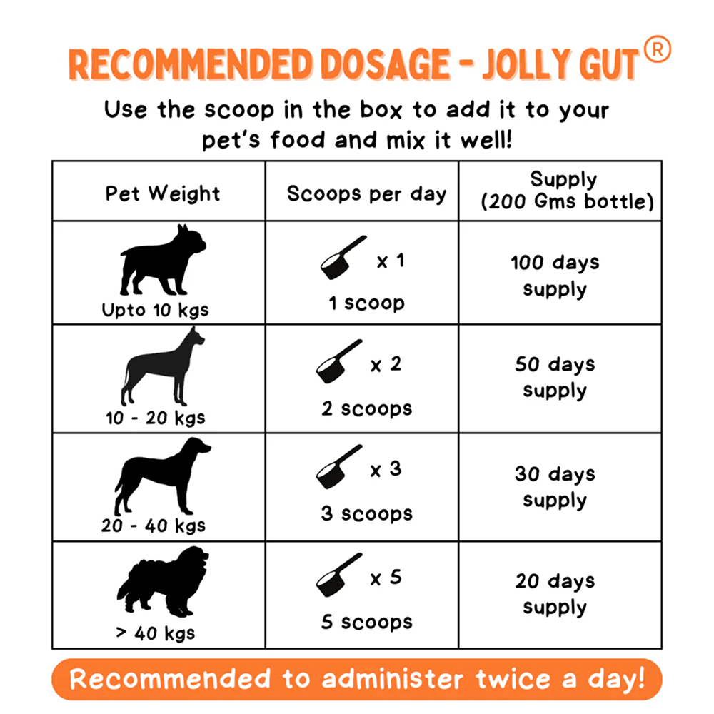 Unleash Wellness Jolly Gut Pre and Pro Biotic Supplement for Dogs and Cats Both-Health & Wellness Unleash Wellness Dropship