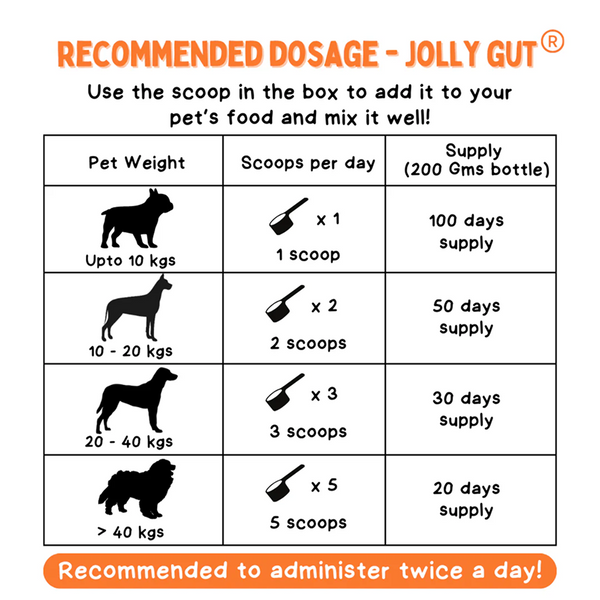 Unleash Wellness Jolly Gut Pre and Pro Biotic Supplement for Dogs and Cats