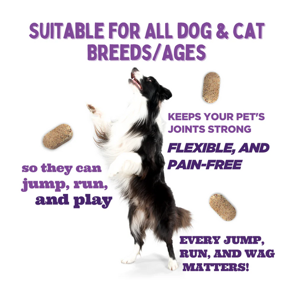 Unleash Wellness Jounce Hip and Joint Support Chews for Dogs and Cats