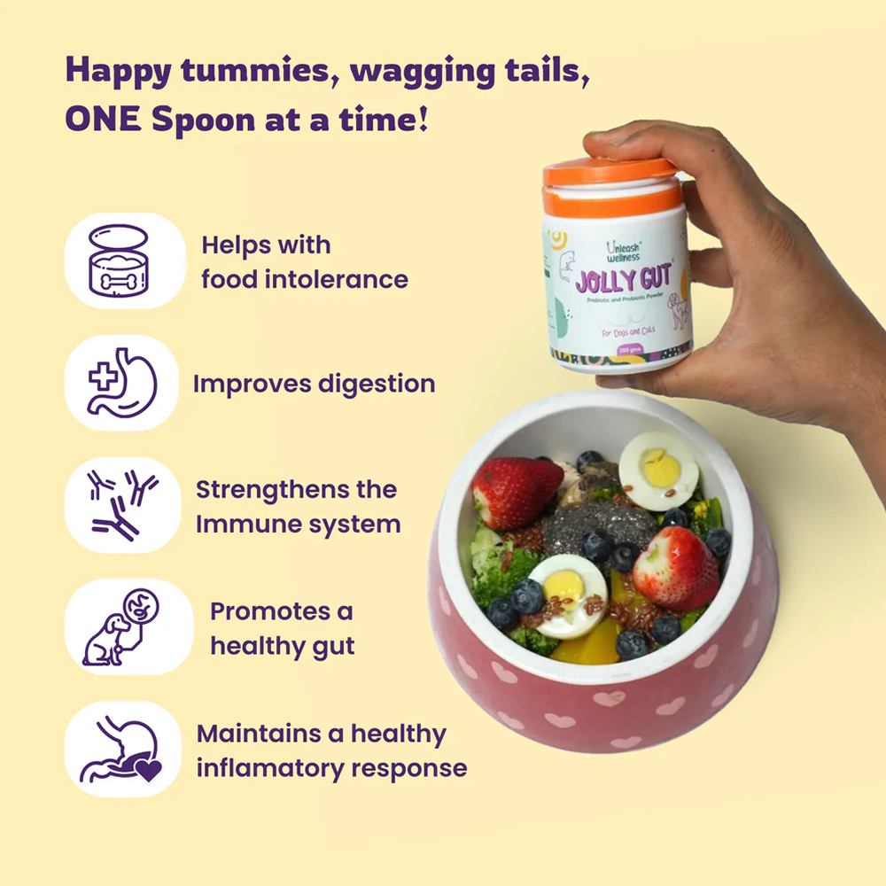Unleash Wellness Jolly Gut Pre and Pro Biotic Supplement for Dogs and Cats Both-Health & Wellness Unleash Wellness Dropship