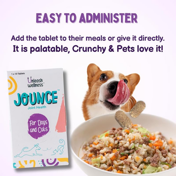 Unleash Wellness Jounce Hip and Joint Support Chews for Dogs and Cats
