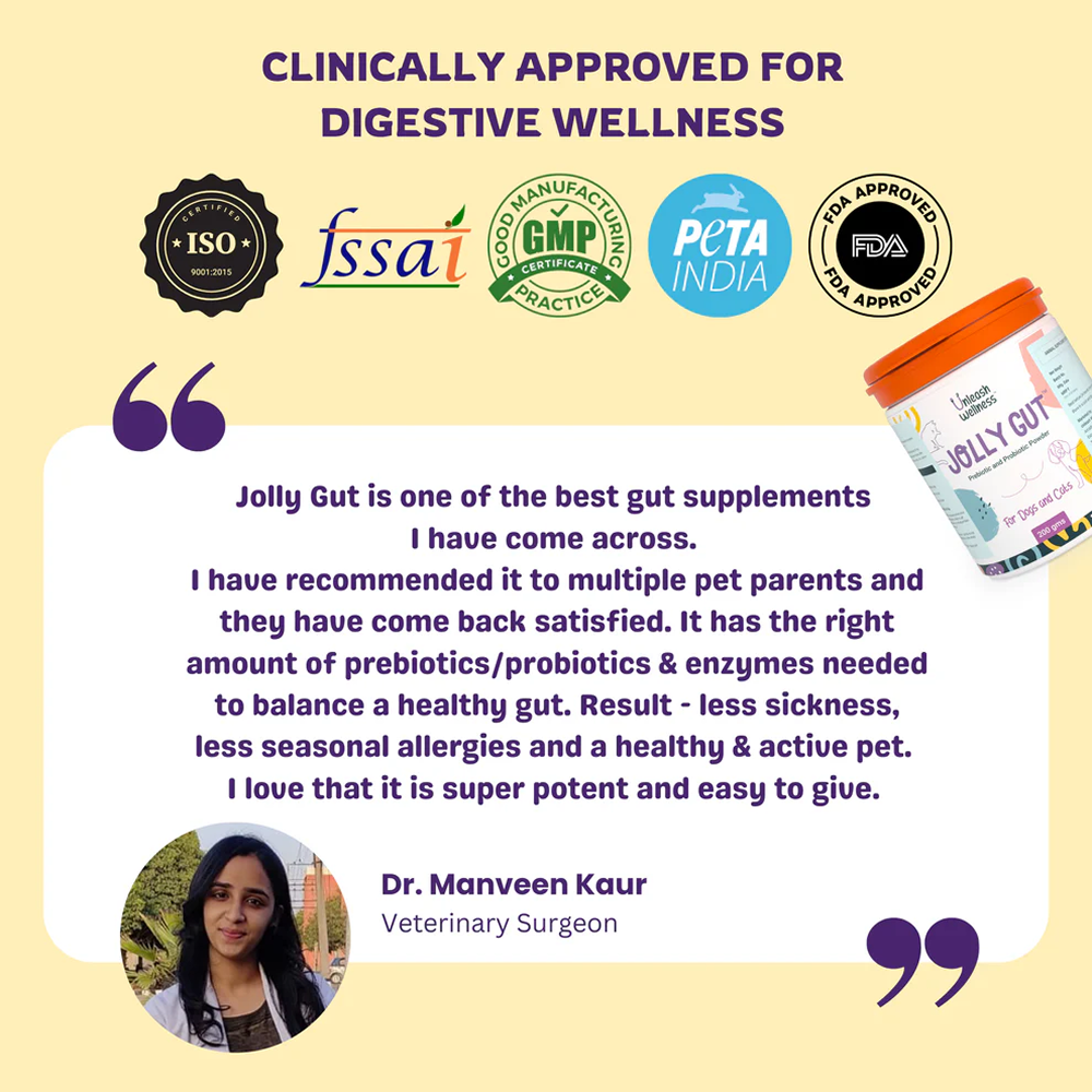 Unleash Wellness Jolly Gut Pre and Pro Biotic Supplement for Dogs and Cats Both-Health & Wellness Unleash Wellness Dropship