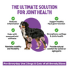 Unleash Wellness Jounce Hip and Joint Support Chews for Dogs and Cats Both-Health & Wellness Unleash Wellness Dropship