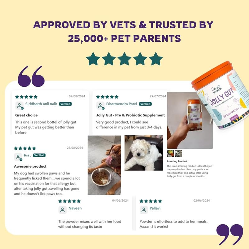 Unleash Wellness Jolly Gut Pre and Pro Biotic Supplement for Dogs and Cats Both-Health & Wellness Unleash Wellness Dropship