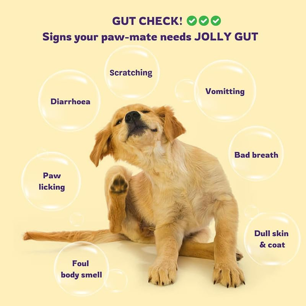 Unleash Wellness Jolly Gut Pre and Pro Biotic Supplement for Dogs and Cats Both-Health & Wellness Unleash Wellness Dropship