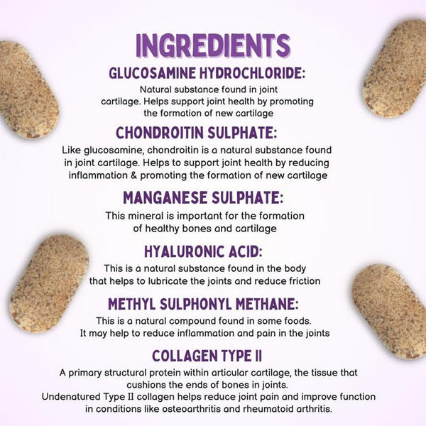 Unleash Wellness Jounce Hip and Joint Support Chews for Dogs and Cats