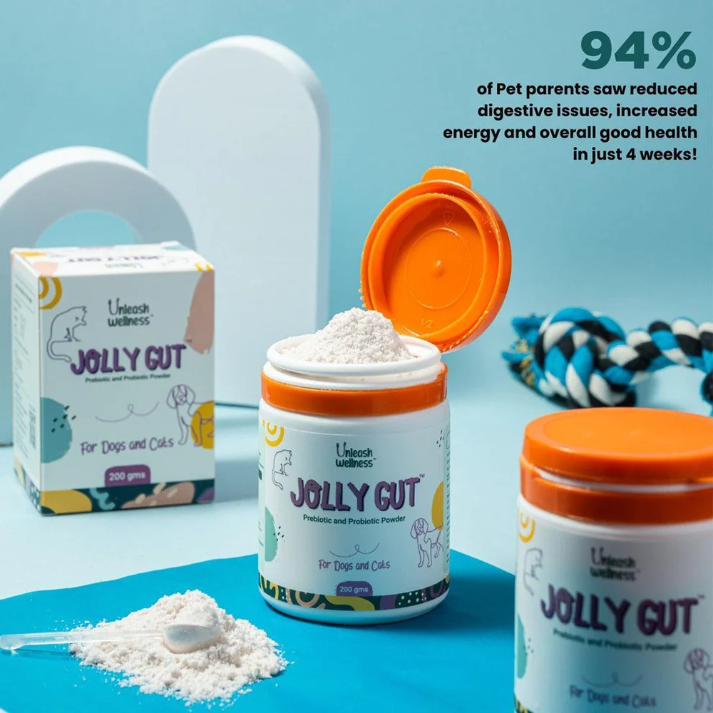 Unleash Wellness Jolly Gut Pre and Pro Biotic Supplement for Dogs and Cats Both-Health & Wellness Unleash Wellness Dropship 200g