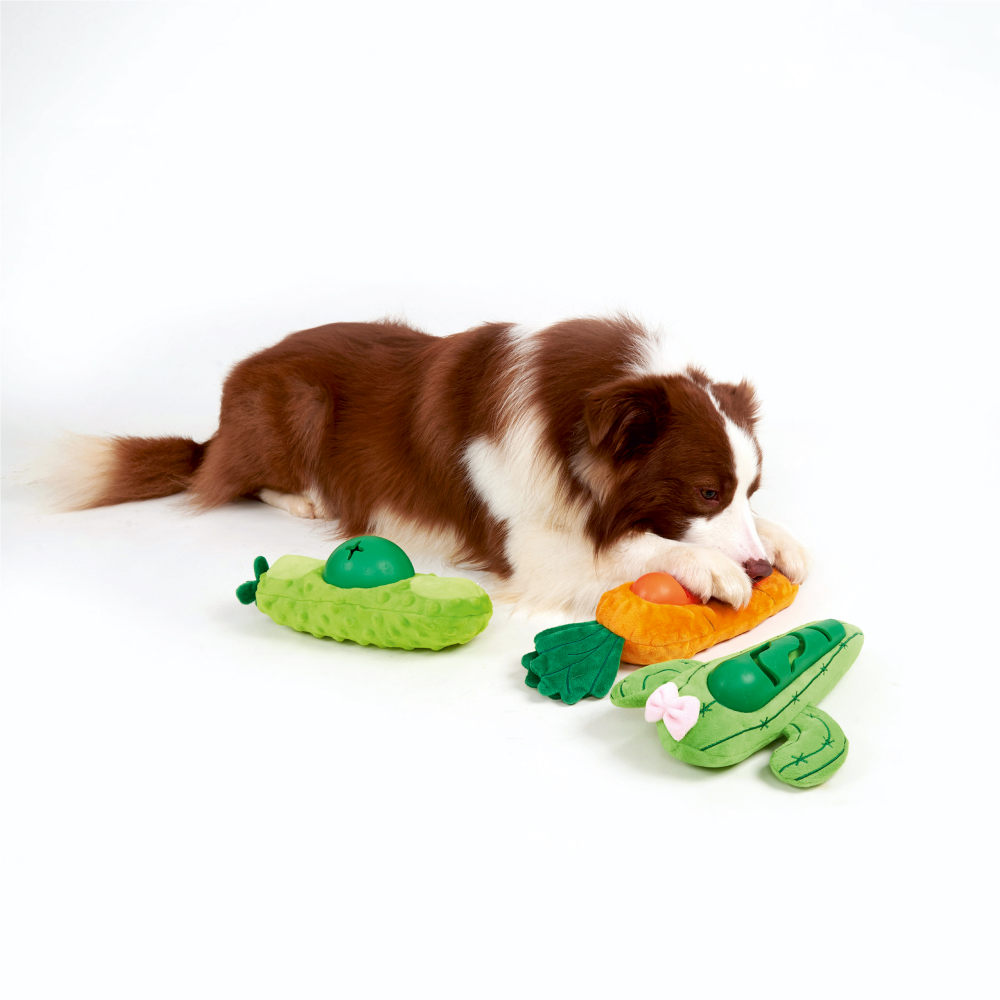 Fofos Carrot Treat Toy for Dogs