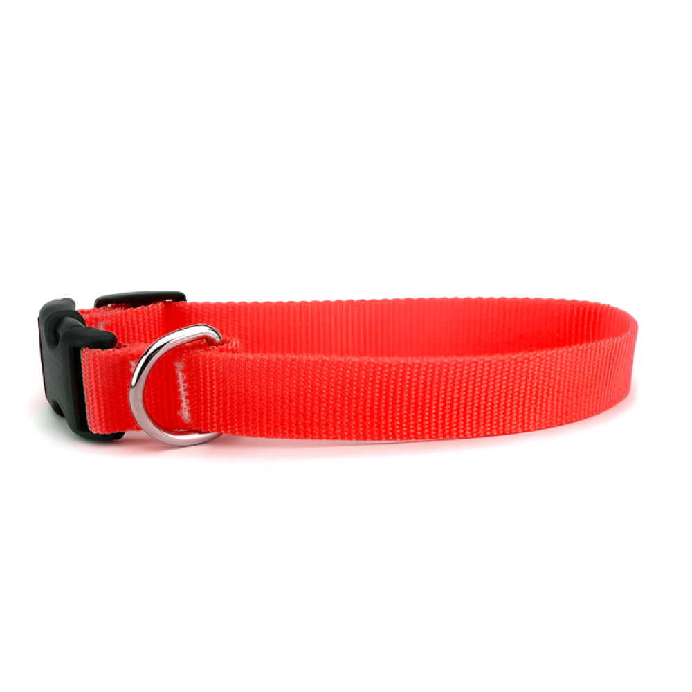 Skatrs Adjustable Collar with Bell for Cats & Kittens Lime Green and Red Combo Both-Collar, Leashes, harnesses Skatrs