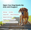 Absolut Pet Hip and Joint Care Dog Supplement Dogs-Health & Wellness Absolut Pet
