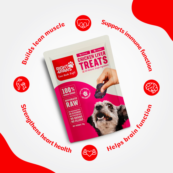 Right4Paws Chicken Liver Dog Treats