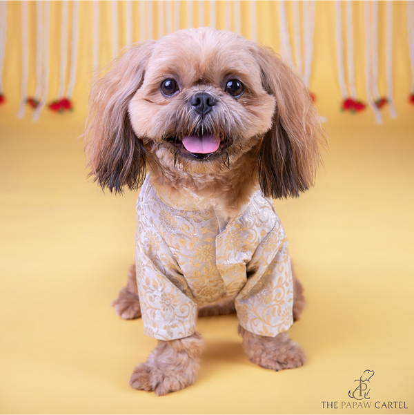 The Papaw Cartel Ivory Banarasi Work Kurta for Dogs & Cats