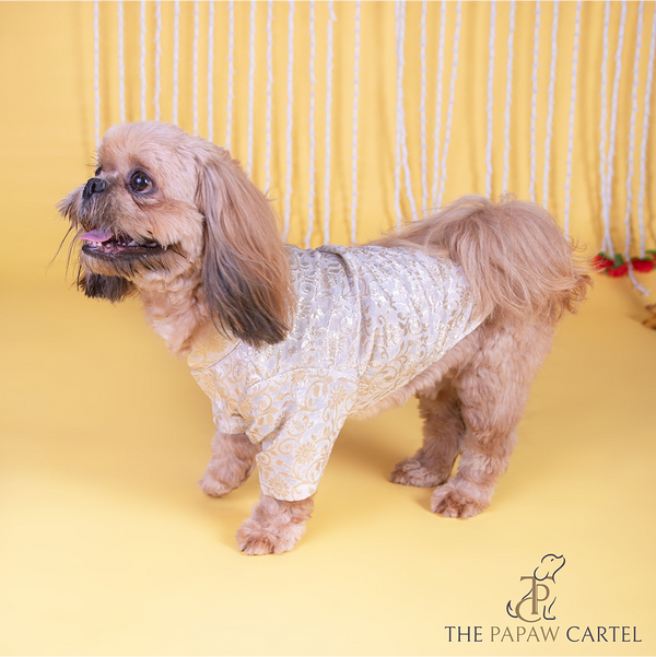 The Papaw Cartel Ivory Banarasi Work Kurta for Dogs & Cats
