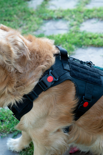 Tails to Tell Tactical Harness with Lock Buckle for Dogs (Black)