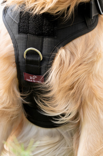 Tails to Tell Tactical Harness with Lock Buckle for Dogs (Black)