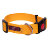 Tails to Tell Polyester Collar for Dogs (Yellow) Dogs-Collar, Leashes, harnesses Tails to Tell Dropship S: 19mm Width