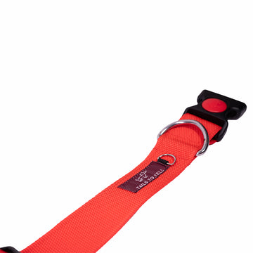 Tails to Tell Polyester Collar for Dogs (Red)