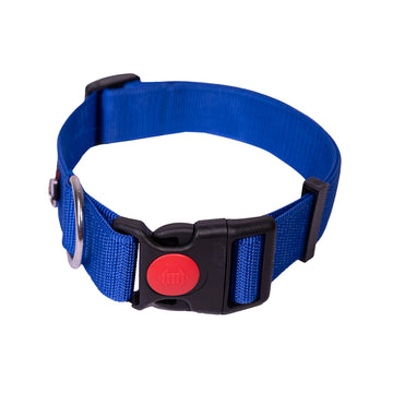 Tails to Tell Polyester Collar for Dogs (Blue)