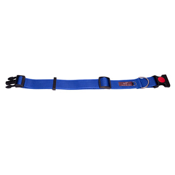 Tails to Tell Polyester Collar for Dogs (Blue)