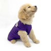 Pets Way Kolkata Kennel Riders Team Jersey Vest for Dogs | Indian Pet League Dogs-Clothing & Accessories Pets Way Dropship