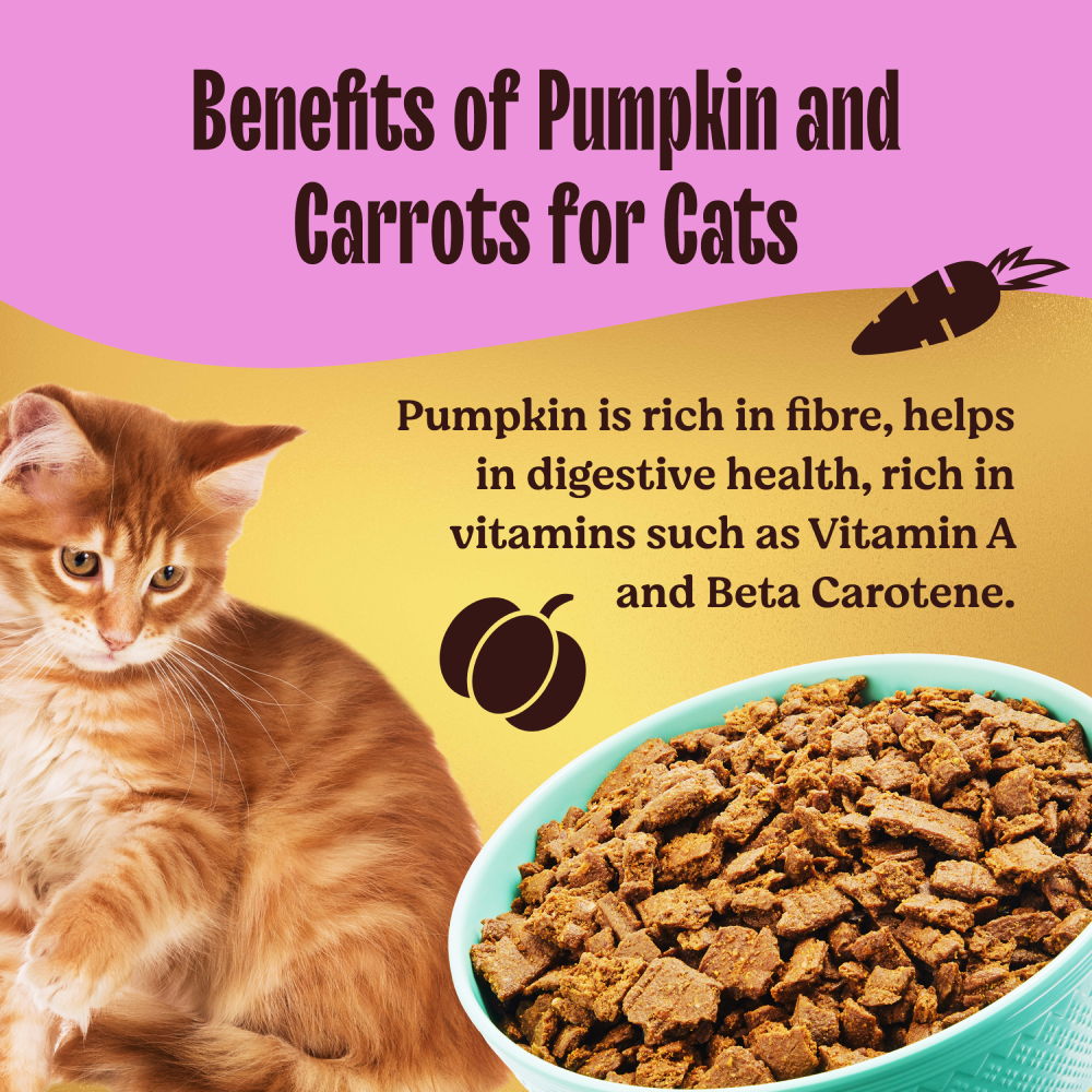 Kennel Kitchen Air Dried Chicken and Mackerel for Cat Dry Food (All Life Stage) Cats- Dry food Kennel Kitchen