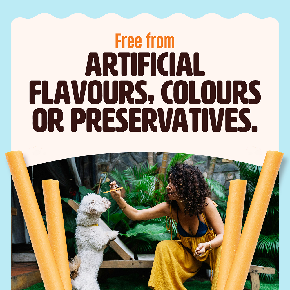 Kennel Kitchen Fish Sticks with Turmeric Dog Treats Dog Treats + Others Kennel Kitchen