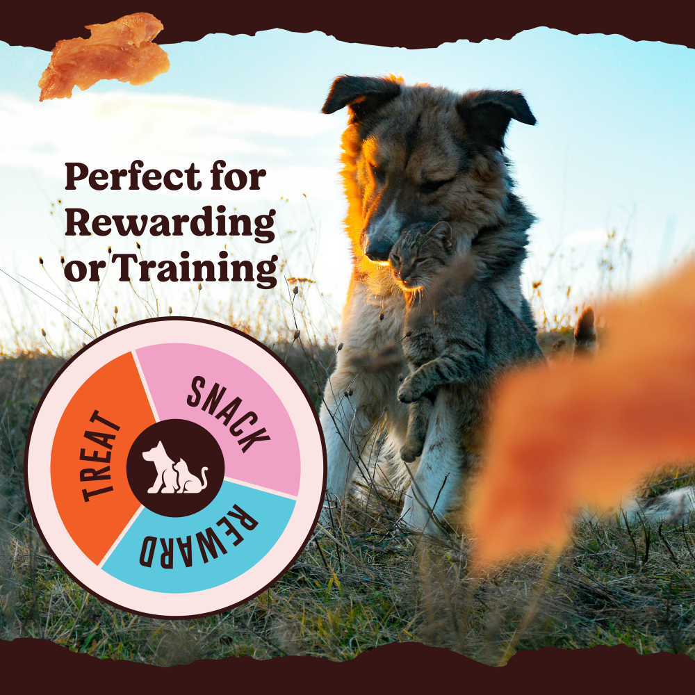 Kennel Kitchen Air Dried Chicken Jerky Dog and Cats Treats (Limited Shelf Life) Dog Treats + Others Kennel Kitchen