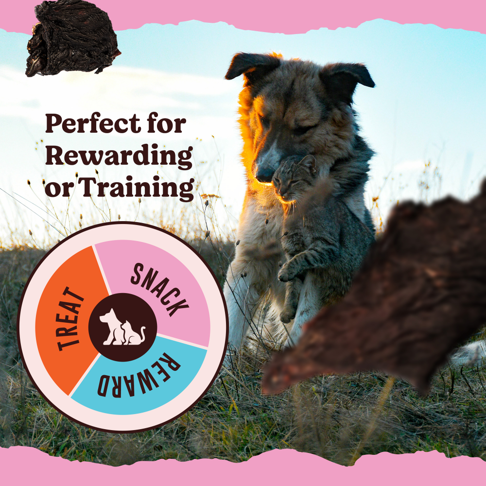 Kennel Kitchen Air Dried Mutton Jerky Dog and Cat Treats Dog Treats + Others Kennel Kitchen