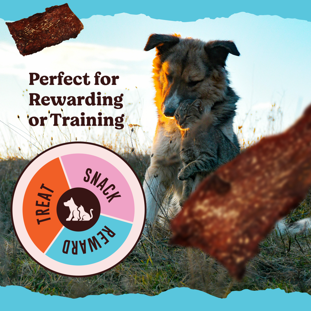 Kennel Kitchen Air Dried Tuna Fish Jerky Dog and Cats Treats Dog Treats + Others Kennel Kitchen