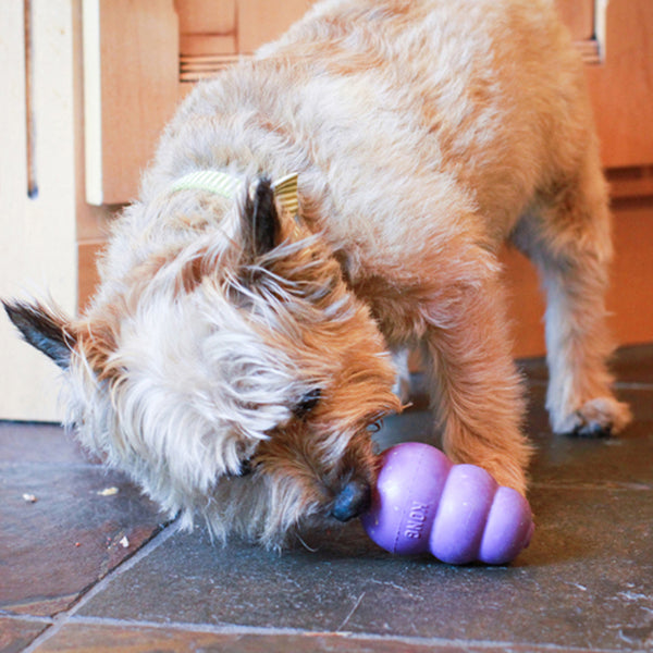 Kong Senior Toy for Dogs (Purple)